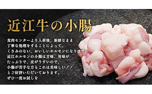 【1週間以内発送】味付けホルモン　秘伝のタレ漬け　近江牛小腸　900g（300g×3）【FO74W】