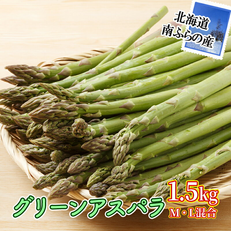 【ふるさと納税】2025年先行予約 南ふらの産 グリーン アスパラ 1.5kg (M・L混合) 北海道 南富良野町 アスパラ アスパラガス 野菜 ふらの 2025年発送 先行予約　お届け：2026年5月20日～2026年6月20日まで