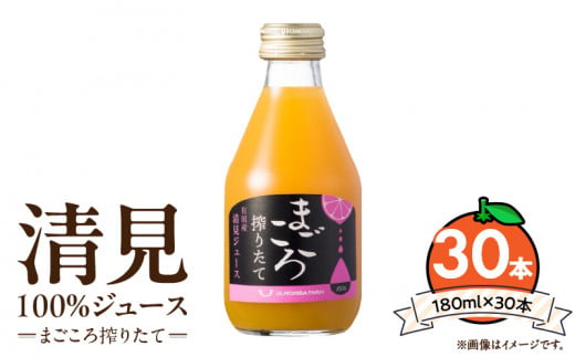 ZE6458_【まごころ搾りたて】清見 100%ジュース 180ml × 30本 