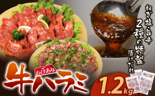 Z61-46 【訳あり】牛ハラミ肉(旨辛、ねぎ塩) 1.2kg 旨辛 ねぎ塩 牛肉 焼肉 味付け肉 BBQ 簡単 冷凍 家庭用 大人気 コスパ 手軽