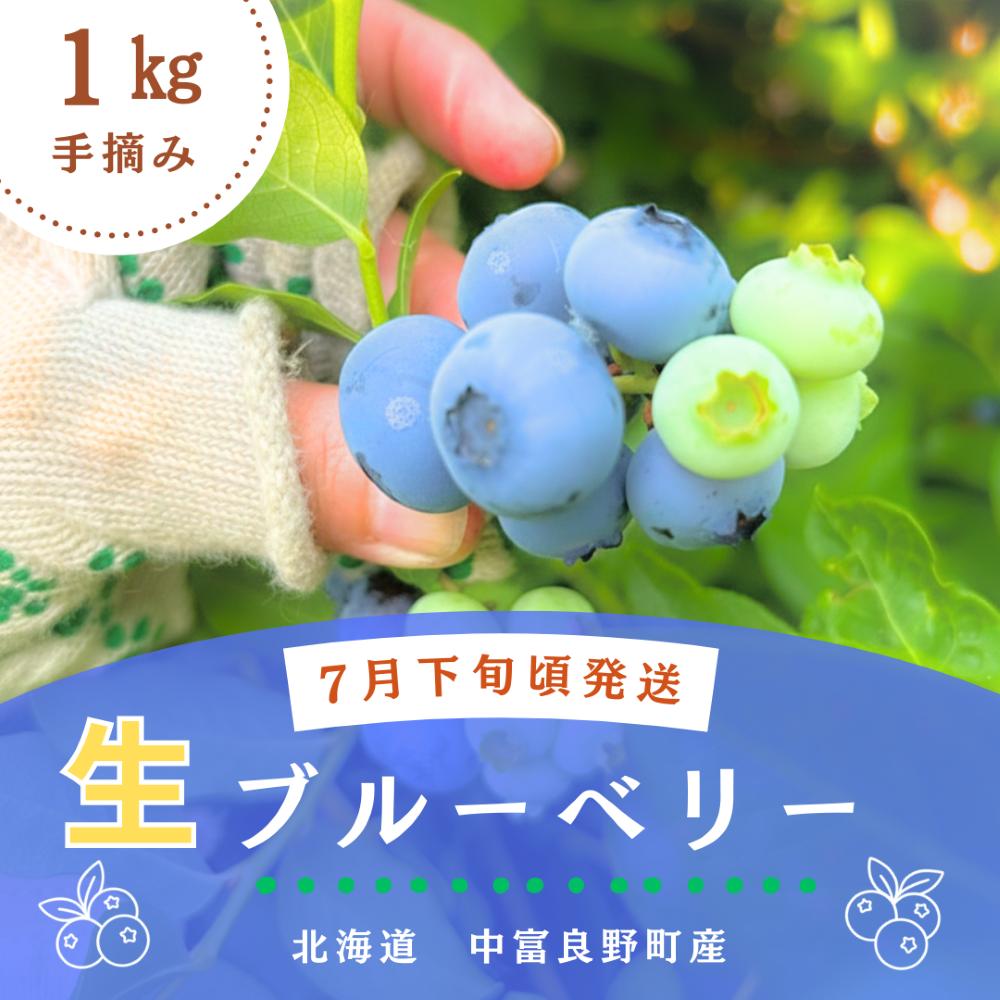 
                  横山農園の生ブルーベリー1kg
                