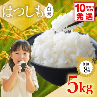 ふるさと納税 関市 令和8年産 ハツシモ【白米】5kg 数量限定 M8