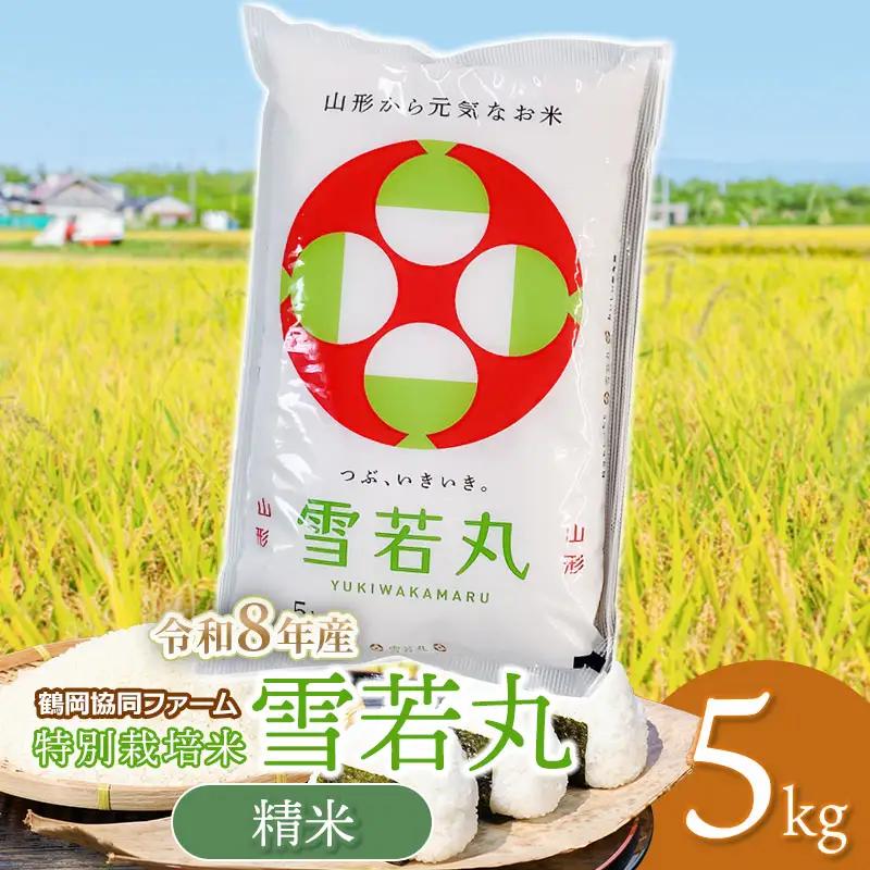 【令和8年産 新米】 特別栽培米 雪若丸 5kg (5kg×1袋) 山形県鶴岡産　鶴岡協同ファーム