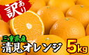 【ふるさと納税】【訳あり】三重県産　清見オレンジ（きよみ） 5kg【出荷目安：3月中旬〜5月上旬】限定 400セット II-66