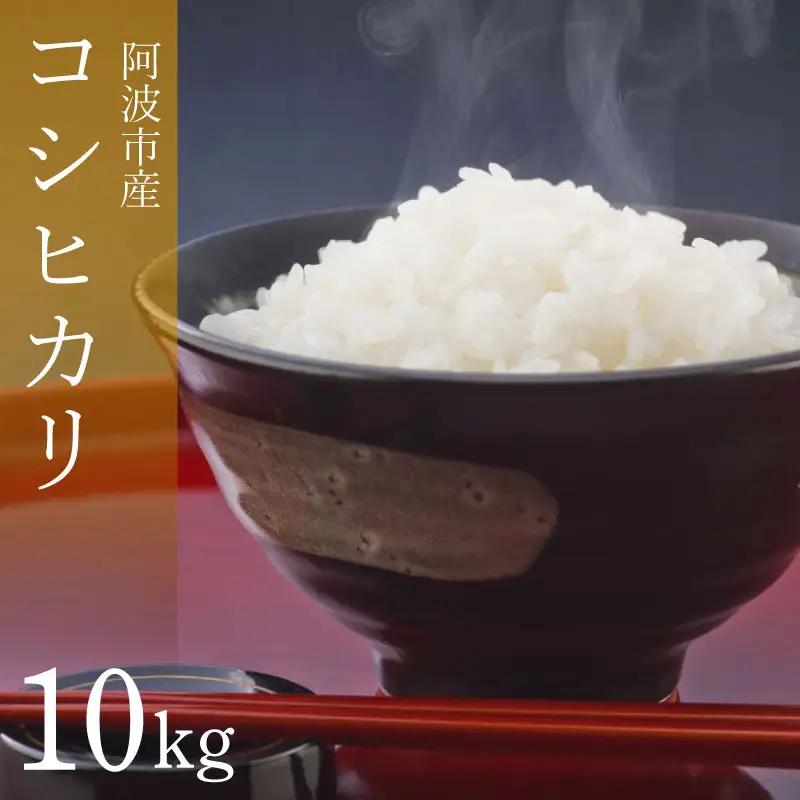 コシヒカリ 10kg 令和8年産 米 【 お米 】
