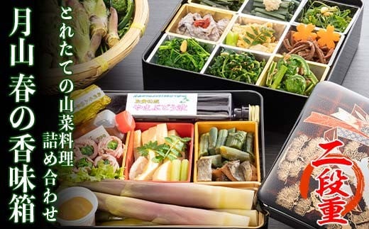 《2026年先行予約》【清流庭園 山菜料理 玉貴】 採れたての山菜料理詰め合わせ 月山 春の香味箱 二段重 2026年4月下旬から順次発送 野菜 やさい 山菜 さんさい 山の幸 採れたて 春 詰合せ 盛り合わせ 贈答 ギフト 家庭 自宅 山形県 西川町 月山 FYN9-163