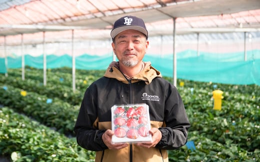 大粒厳選いちご やよいひめ ２パック 苺大野屋 宮崎県西都市 900g ＜2-27＞苺 いちご 果物 くだもの フルーツ 900ｇ(450ｇ×2パック)【寄付額20,000円】