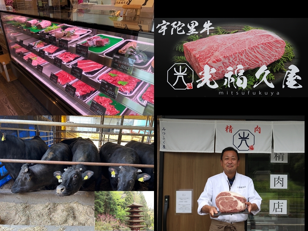 チルド 宇陀里牛 ロース ブロック 約３kg ／ 光福久屋 ふるさと納税 牛肉 焼肉 バーベキュー BBQ キャンプ ステーキ マンガの世界 黒毛 和牛 冷蔵 真空 新鮮 ブランド 奈良県 宇陀市