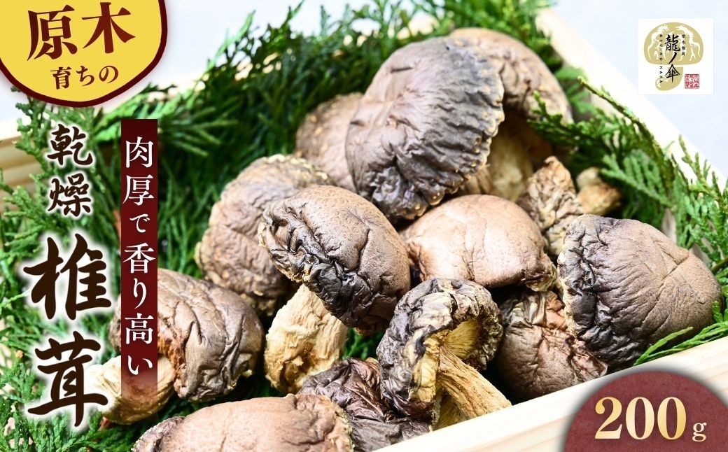 
                  乾燥椎茸 しいたけ 【原木】200g 龍ノ傘 | しいたけ シイタケ 乾しいたけ 干ししいたけ 干し椎茸 干しシイタケ 200g 龍ノ傘 国産 乾燥椎茸  無添加 旨味 濃厚 出汁 だし 和食 煮物 健康 食材 常温保存 長期保存 高級 食品 限定100個 希少 お取り寄せ グルメ 龍の傘農園 茨城県 龍ヶ崎市
                