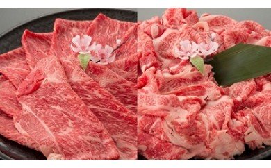 近江牛二種セット【1kg（赤身スライス500ｇ、切り落とし500ｇ）】【AC13U】