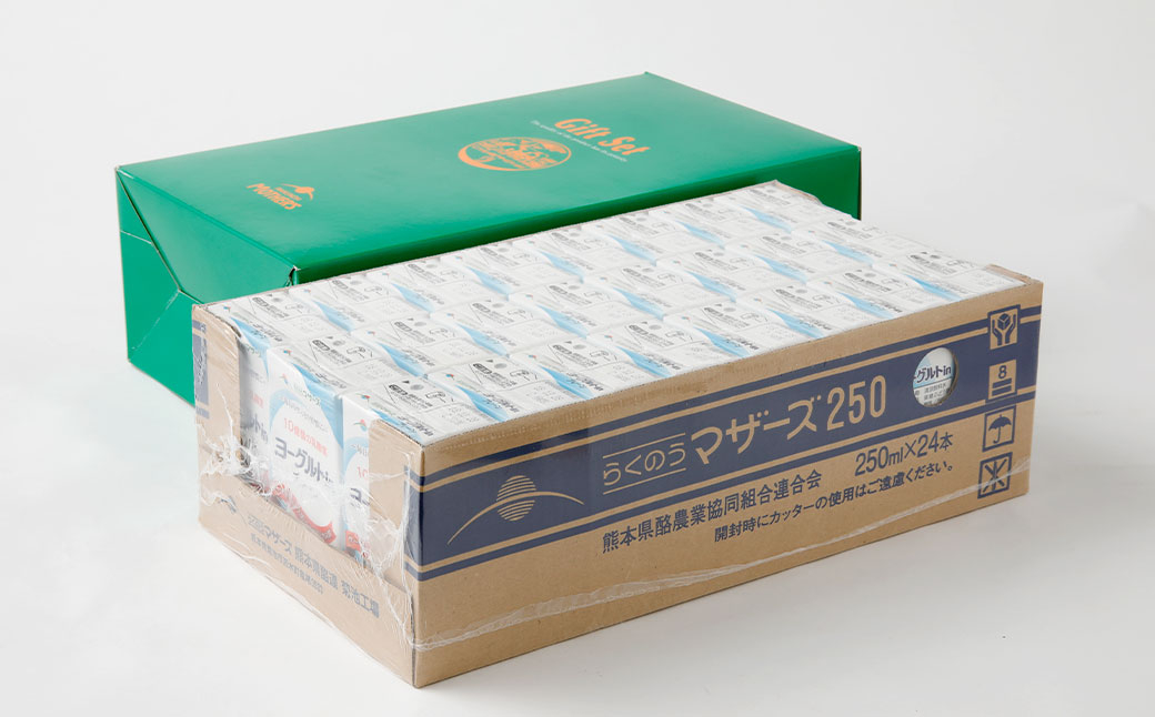 【2ヶ月毎6回定期便】ヨーグルトinプレーン 250ml 計144本（24本×6回）
