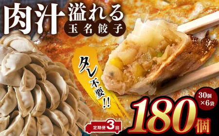 【 定期便 3回 】タレ不要? 肉汁 溢れる『 玉名餃子 』 180個 （30個×6袋）| 餃子 ぎょうざ お手軽 小分け 冷凍 冷凍食品 おかず 豚肉