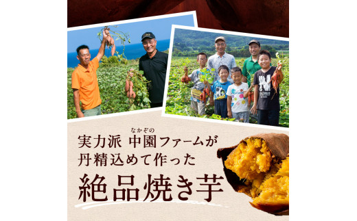 種子島 安納 焼いも 【たくさん 入った 業務 サイズ ＋ ギフト サイズ】計4.4ｋｇ　NFN181 【375pt】 // 焼き芋 焼いも 焼芋 やきいも 安納芋 安納いも 熟成 安納焼きいも 安納