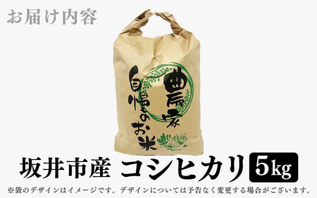 【令和6年産】 福井県 坂井市産米 コシヒカリ 5kg (白米) 【お米 米 こめ コメ こしひかり 白米 5キロ 精米 ブランド米 ふるさと納税米 産地直送】 [A-3295]