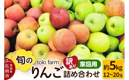 りんご 旬のりんご詰め合わせ 約5kg（12～20玉程度）【訳あり】家庭用 toki farm