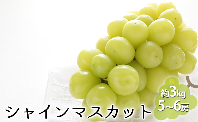 
[№5729-0420]シャインマスカット 約3kg（5～6房）
