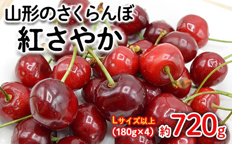 
                  山形のさくらんぼ 紅さやか  Lサイズ以上 720(180g×4) 【令和9年産先行予約】FS25-523 くだもの 果物 フルーツ 山形 山形県 山形市 2027年産
                
