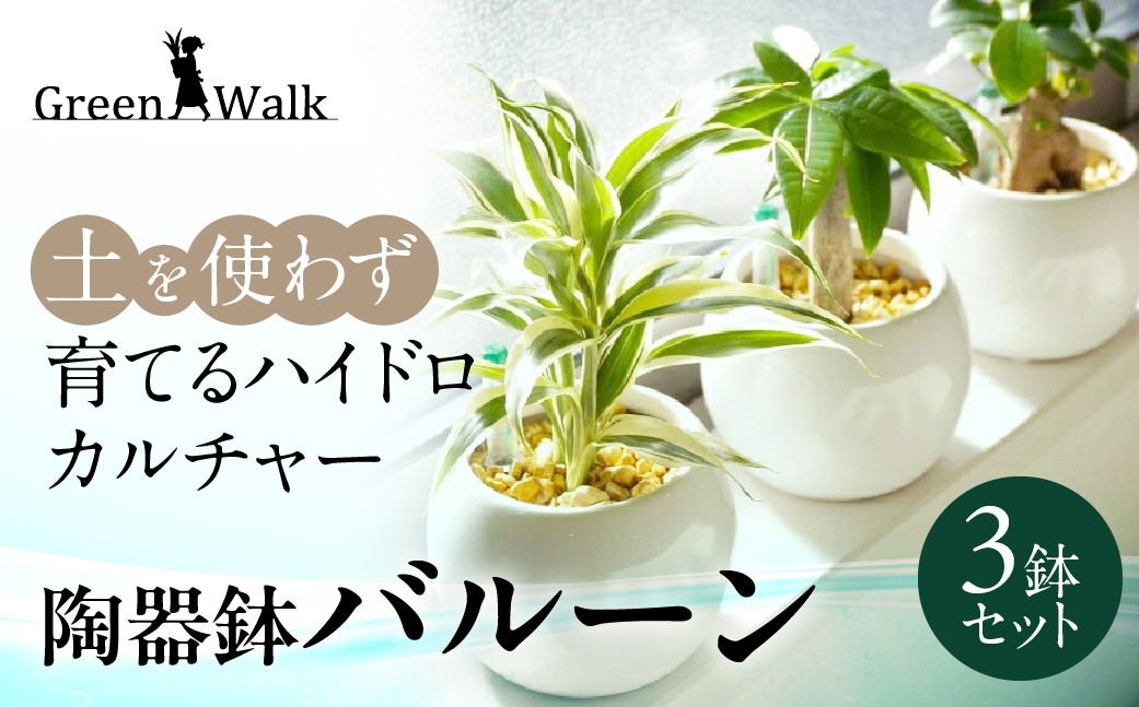 
                  観葉植物 3鉢セット ハイドロカルチャー バルーン 陶器鉢 ゼオライト植え 土無し インテリア 緑 グリーン 簡単 初心者 かわいい 自然 観葉植物 3鉢セット 観葉植物 3鉢セット 観葉植物 3鉢セット 観葉植物 3鉢セット 観葉植物 3鉢セット 観葉植物 3鉢セット 観葉植物 3鉢セット 観葉植物 3鉢セット 観葉植物 陶器鉢 観葉植物 陶器鉢 観葉植物 豊橋 観葉植物 豊橋 観葉植物 陶器鉢
                