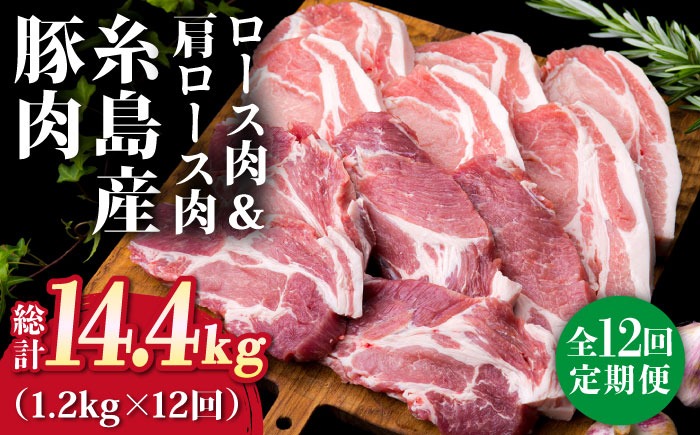 【全12回定期便】糸島産豚ロース肉6枚 肩ロースカツ5枚 合計11枚セット《糸島》【糸島ミートデリ工房】 [ACA231]