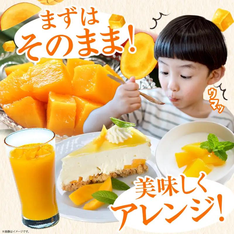 【先行予約/数量限定】完熟マンゴー ３L～４L×２玉（パック）宮崎県産 濃厚 高級 果物 フルーツ 贈答 ギフト 完熟マンゴー マンゴー  【JA綾町】_A0114-2301