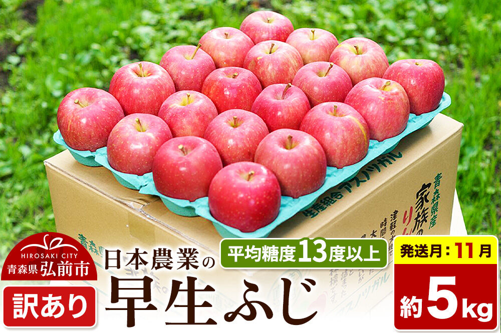 【26年11月発送】りんご 早生ふじ【訳あり】約5kg 平均糖度13度以上 青森 果物 フルーツ 林檎 リンゴ くだもの 不揃い 規格外 [先行受付 家庭用 産地直送 アップル 青森県 弘前市]