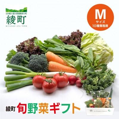 ふるさと納税 綾町 【毎月定期便】綾町旬野菜ギフト Mサイズ全6回