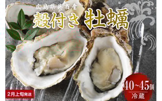 【2026年2月上旬発送】宮原水産 かき 殻付き 40～45個 ku005-013-02-1-25