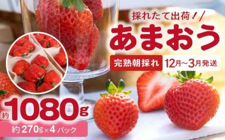 【完熟朝採れ】福岡県産ブランドいちご(12月～3月発送) あまおう 約270g×4パック　R00202