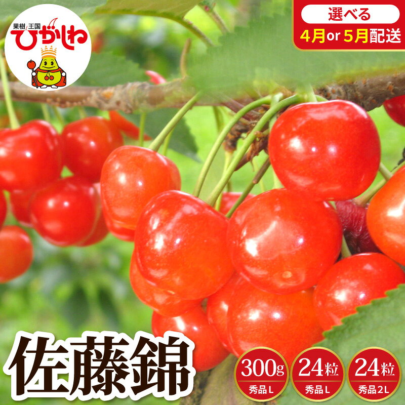 【ふるさと納税】【 2027年産 先行予約 】 採れたて！ 温室 さくらんぼ 佐藤錦 ( 選べる 配送月 ・ 内容量 )| サクランボ フルーツ 果物 くだもの 秀品 L 2L 令和9年産 期間限定 化粧箱入り 加温 お取り寄せ グルメ ご当地 特産直送 4月 5月 冷蔵 配送 山形県 東根市