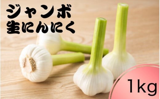 
                  令和８年度産 秘境の地からお届けする あゆみファームのご家庭用新ジャンボ生にんにく １kg【6月中旬～７月上旬から順次発送】/ にんにく ニンニク ジャンボにんにく 予約受付 ガーリック 和歌山【aym018】
                