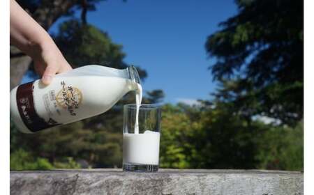 南ヶ丘牧場 アイスクリーム 6個セット 詰合せ 〔B-139〕 | スイーツ アイス 高級アイス 詰め合わせ 乳牛 冷凍 那須町