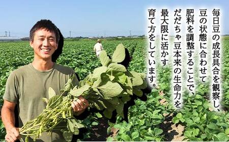 ≪2026年先行予約≫【與惣兵衛】山形県産 神の枝豆 だだちゃ豆 約1.5kg 2026年8月上旬から順次発送 F2Y-5461