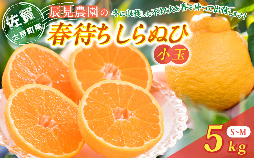 
                  L92x2 辰見農園の春待ち「しらぬひ」小玉 5kg【2027年2月下旬～4月下旬発送予定】
                