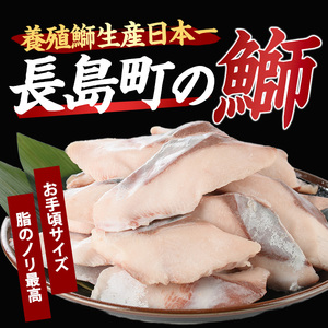 【先行予約】【皮なし】鰤の切り身(約1.0kg)【株式会社島水】shimasui-1506b