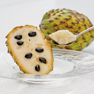 ふるさと納税 垂水市 垂水産温泉アテモヤ 1kg【秀品】 森のアイスクリーム 希少な国産アテモヤ 【財宝】(垂水市) |  | 01