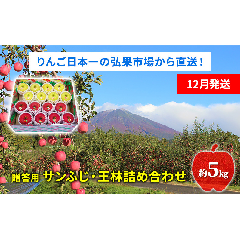 りんご 【12月発送】糖度13度～ 贈答用 サンふじ 王林 詰め合わせ 約5kg　リンゴ 林檎 青森りんご 糖度 13度 甘い 酸味 デザート フルーツ 果物 お取り寄せ 産地直送 旬 季節限定 弘果