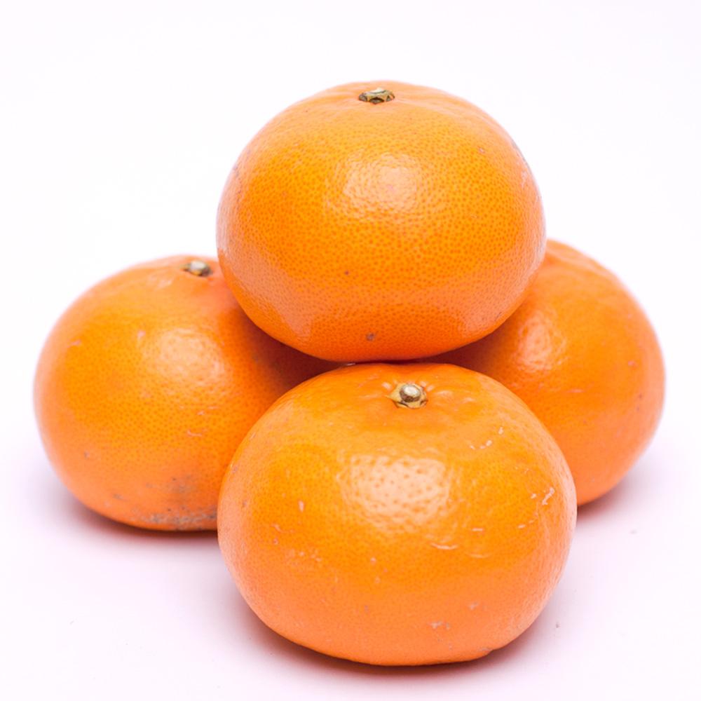 ［先行予約］厳選 せとか5kg+250g（傷み補償分）［柑橘・春みかんの王様］［光センサー選果・食べ頃出荷］ ［IKE119］