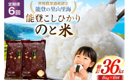 米 令和7年 のと米 能登こしひかり 6kg 6回 定期便 [能登わかば農業協同組合 石川県 中能登町 nk17bth130010] こしひかり コシヒカリ 定期 6ヶ月 6キロ お米 ブランド米 国産 国産米 能登米 ごはん ご飯 白飯 飯  白米 こめ コメ おこめ okome kome 令和7年産 ふるさと納税