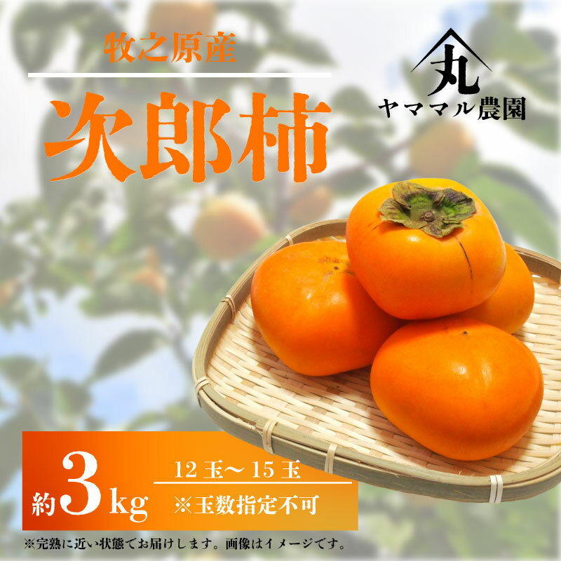 【ふるさと納税】 【先行予約】次郎柿 3kg 12玉 ～ 15玉 2025年11月上旬より順次発送予定 数量限定 柿 かき カキ 次郎柿 じろうがき 果物 くだもの フルーツ 旬 農家直送 産地直送 贈答用 プレゼント ギフト お歳暮 季節限定 国産 新鮮 ヤママル農園 牧之原市 静岡県