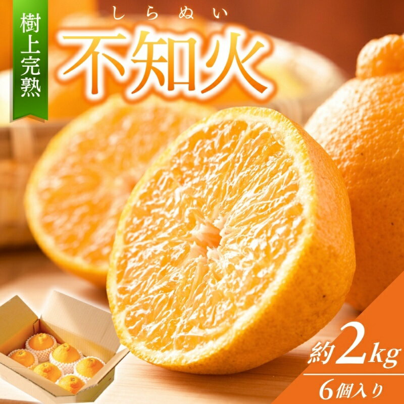 【ふるさと納税】 不知火 秀品 数量限定 樹上完熟しらぬい 不知火 約2kg (6個) みかん ミカン しらぬい 不知火 フルーツ 果物 くだもの 柑橘 産地直送 和歌山 送料無料 【2026年2月下旬～2026年4月中旬頃に順次発送予定（お届け日指定不可）】