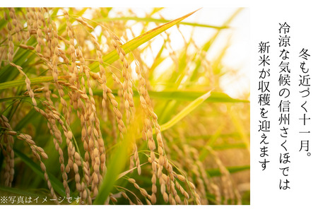 令和５年産　いでさん家の　あきたこまち　白米10kg〔ID-01〕
