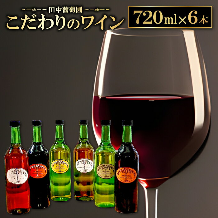 【ふるさと納税】 ブラックトルネード 720ml 9.1% ヤマソービニヨン 720ml 9.0% 1本 おまかせ 白ワイン 720ml 4本 合計6本 ドメーヌワイン フラッグシップワイン 赤 白 アルバリーニョ ハニービーナス デラウェア シャルドネ イタリア アーリーマスカット 果物 ぶどう ブドウ