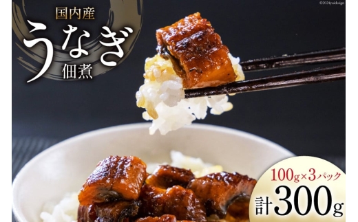 
うなぎ 佃煮 国産 静岡 100g ×3パック 計300g [静岡鰻販売 静岡県 吉田町 22424152] 鰻 ウナギ 真空パック つまみ 酒の肴 惣菜 おかず ご飯のお供 冷凍
