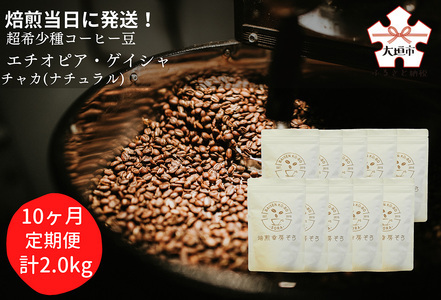 【定期便(10か月)】超希少種コーヒー 粉 『エチオピア ゲイシャ』ゲシャビレッジ農園