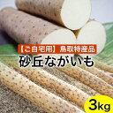 【ふるさと納税】【ご自宅用】鳥取特産品　砂丘ながいも（カット）3kg　※北海道・沖縄・離島への配送不可 ※2024年11月中旬～2025年3月下旬頃に順次発送予定