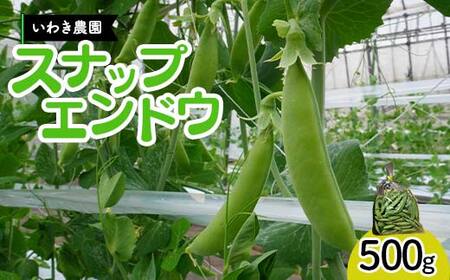 【5月中旬～6月中旬限定発送！】いわき農園のスナップエンドウ 500g 三陸山田 山田町 野菜 幸姫 有機栽培 無農薬 YD-828