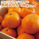 【ふるさと納税】JA東とくしま 勝浦熟成みかん 10kg M-Lサイズ 秀品