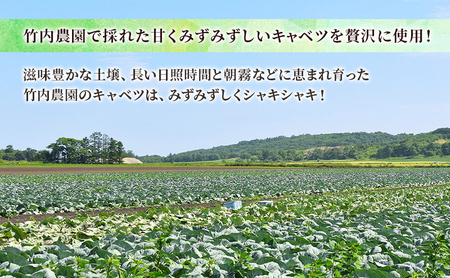 ボリューム満点 手作り冷凍餃子 60個 (15個×4袋)［錦華園］【 野菜 キャベツ たっぷり 厚い 手包み 手作り もちもち モチモチ 汁 町中華 中華 北海道 十勝 幕別 】
