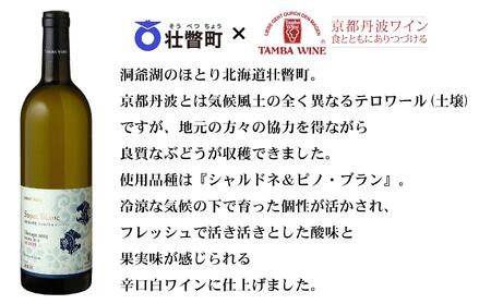 北海道壮瞥産 ソペ・ブラン2023(辛口白ワイン) 750ml×2本 SBTA085