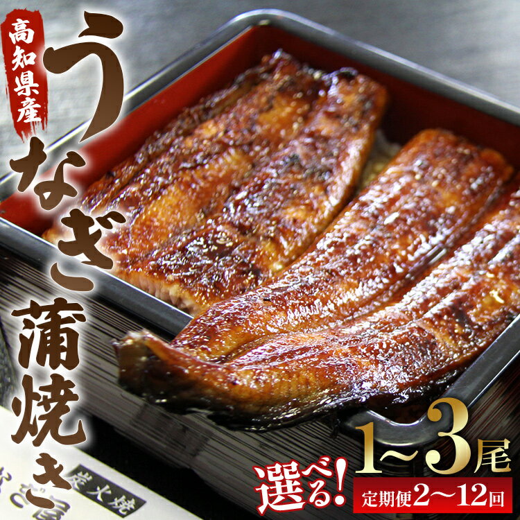 【ふるさと納税】【選べる】うなぎ蒲焼き120g(無頭) （内容量：1尾/2尾/3尾）（定期便：2回/3回/6回/12回）- 魚介 国産 海鮮 魚 かばやき 鰻 ウナギ 惣菜 おかず お手軽 加工品 加工食品 高知県 香南市【冷凍】
